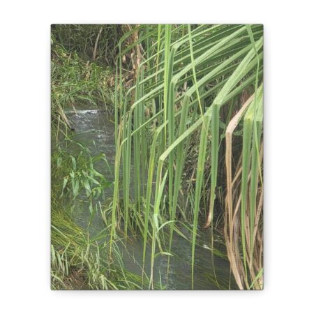 The bridge. Darwin, Northern Territory - Matte Canvas