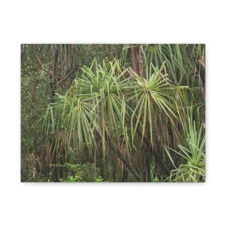 The perfect pandanus - Matte Canvas, Stretched, 1.25"
